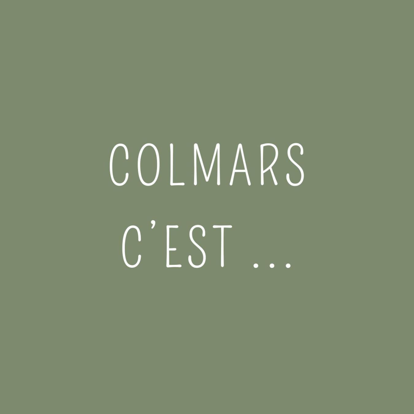 Maison Familiale Des Remparts Colmars Exteriör bild
